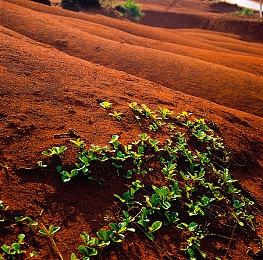 育碧新作《碧海黑帆》PC版在韩国通过评级 定为18+